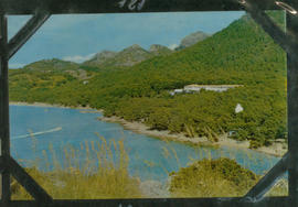 image 01
