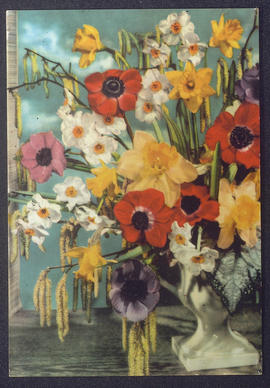image 01