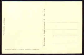 image 02
