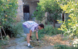 Jove fent herba
