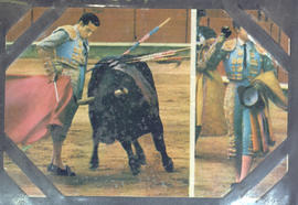 Torero