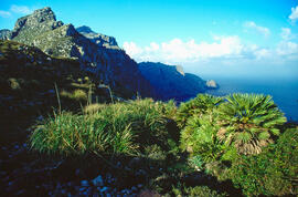 Serra de Tramuntana. Vista de la punta Beca a Pollença