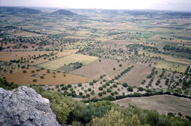 Vista de camps des del puig de Sant Nofre