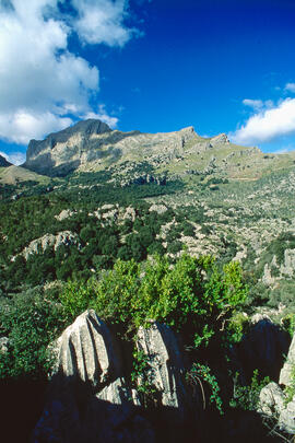 El puig Major i la serra de na Rius