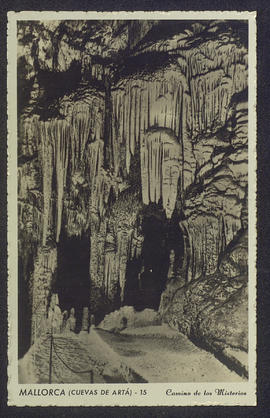 image 01