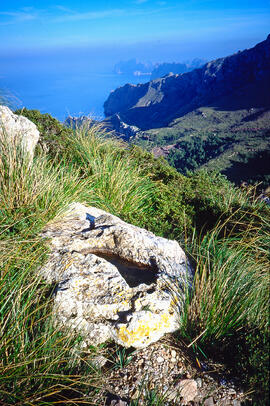 Serra de Tramuntana. Ternelles la punta Galera i les Fontanelles