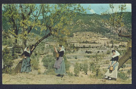 image 01