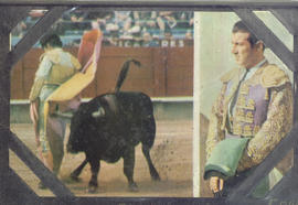 Torero