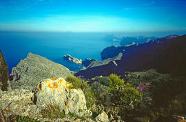 Serra de Tramuntana. Ternelles i la punta Galera