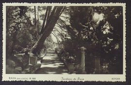 image 01