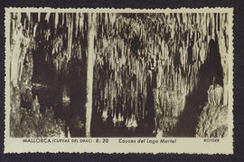 image 01