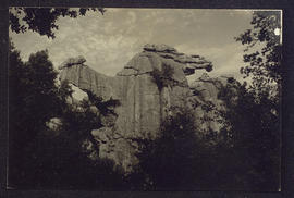 image 01