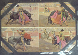 Toros