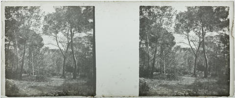 Original Objecte digital not accessible