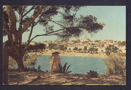 image 01