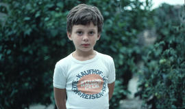 Nin en un camp de tarongers