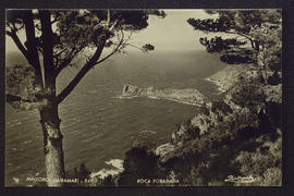 image 01