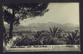 image 01