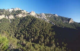 Paisatge de muntanya