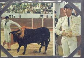 Torero
