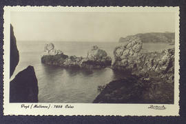 image 01