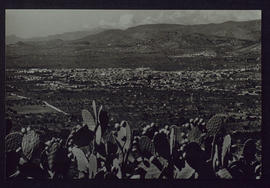 image 01