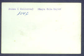 image 02