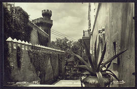 image 01