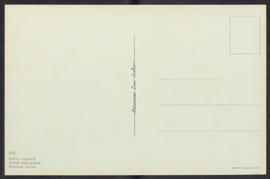 image 02