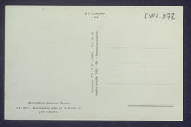 image 02