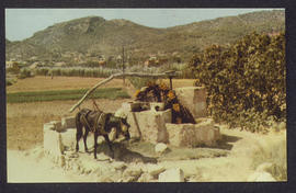 image 01