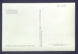image 02