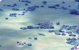 Vista des de Sant Nofre