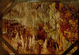 image 01