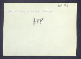 image 02