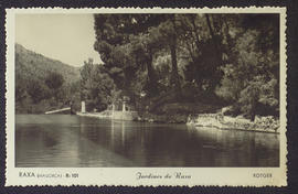 image 01
