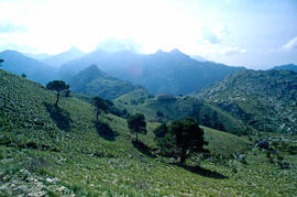 Serra de Tramuntana. Serra del puig Major des del Cosconar