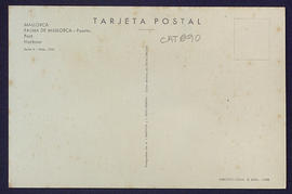 image 02
