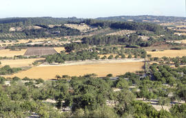 Vista del Pla
