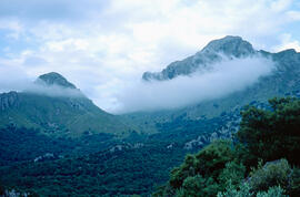 Serra de Tramuntana. Puig de les Vinyes i puig Major