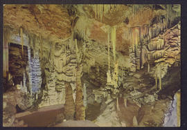 image 01