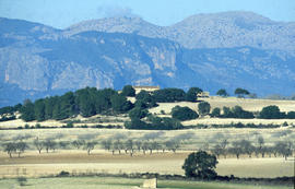 Del pla a la muntanya