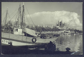 image 01