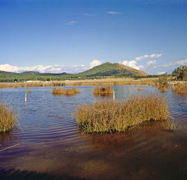 L'Albufera i el puig de Sant Martí