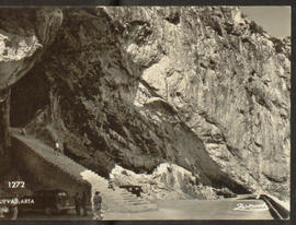 image 01