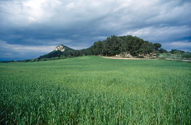 Sant Nofre i un cel amenaçant