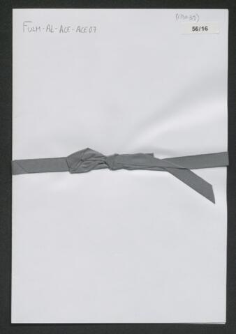 Open original Objecte digital