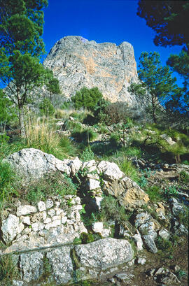 Pica d'aigua al penyal del Migdia