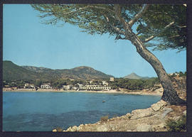 image 01