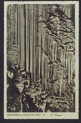 image 01